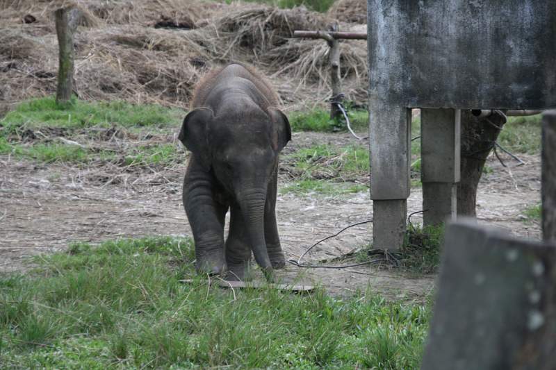 India & Nepal 2011 - 0597